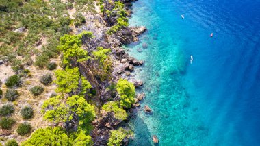 güzel masmavi mavi Akdeniz sahil Hırvatistan yeşil ağaçları ile çevrili
