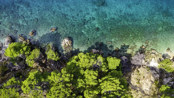 stock image Beautiful azure blue Mediterranean beach surrounded by green trees in Croatia