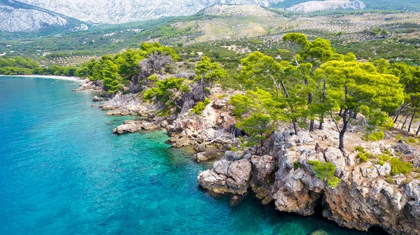 güzel masmavi mavi Akdeniz sahil Hırvatistan yeşil ağaçları ile çevrili