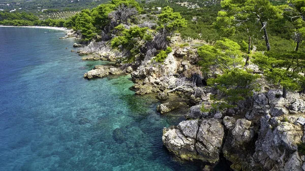 Bella Spiaggia Azzurra Blu Mediterranea Circondata Alberi Verdi Croazia — Foto Stock