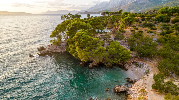 Красиві Блакитні Синій Піщаному Пляжі Оточенні Зелених Насаджень Хорватії — стокове фото