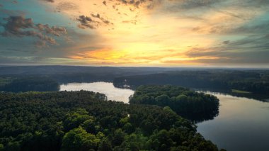 Güneşli bir yaz gününde ormanın havadan görünüşü. İHA 'nın tepesini indir. Polonya, Barlinek şehrinin yakınında.