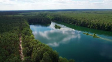 Göldeki ağaçların yansıması - Polonya Gölü