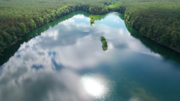 湖の木々の反射 ポーランドの湖 — ストック動画
