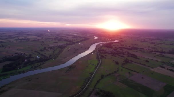 Rzeczny Potok Wodny Letniej Zieleni Rzeka Warta Polsce — Wideo stockowe