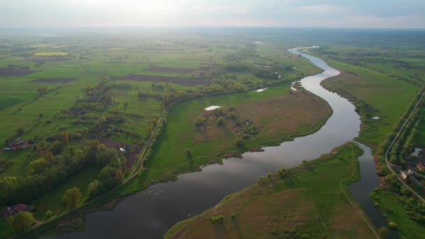 Rivier Waterstroom Zomer Groen Landschap Warta Rivier Polen — Stockvideo