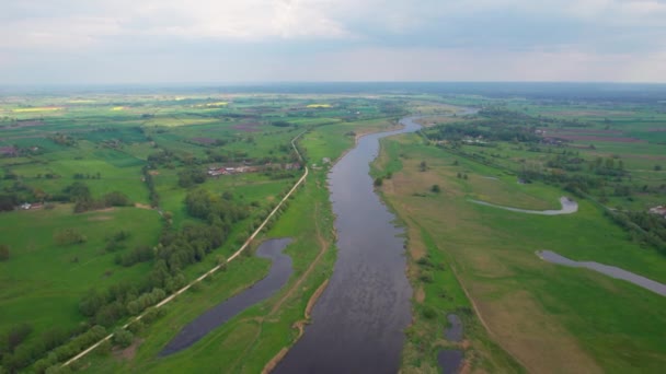 Flusswasserlauf Auf Der Sommerlichen Grünen Landschaft Des Flusses Warta Polen — Stockvideo