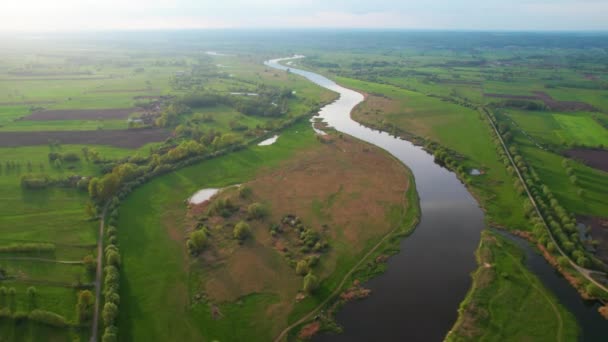 Rivière Ruisseau Eau Sur Paysage Verdure Été Warta Rivière Pologne — Video