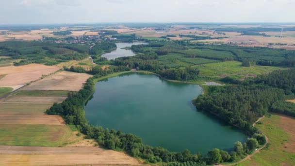Reflet Des Arbres Dans Lac Lac Pologne — Video