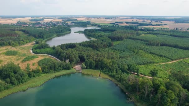Odbicie Drzew Jeziorze Jezioro Polsce — Wideo stockowe