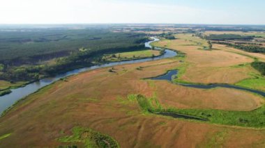 Yaz mevsiminde nehir suyu akıntısı Polonya 'da Warta nehri manzarası