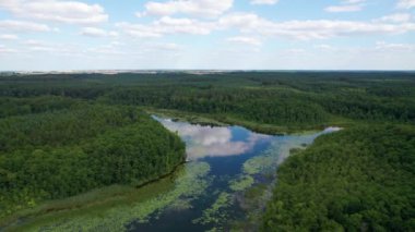 Göldeki ağaçların yansıması - Polonya Gölü