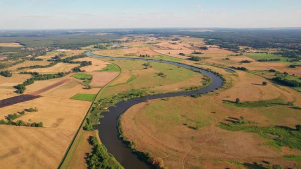 Řeka Potok Vody Letní Zeleně Krajina Warta Řeka Polsku — Stock video