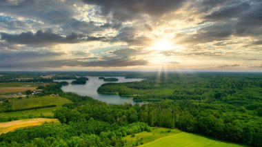 Güneşli bir yaz gününde ormanın havadan görünüşü. İHA 'nın tepesini indir. Polonya, Barlinek şehrinin yakınında.