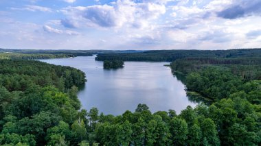Güneşli bir yaz gününde ormanın havadan görünüşü. İHA 'nın tepesini indir. Polonya, Barlinek şehrinin yakınında.