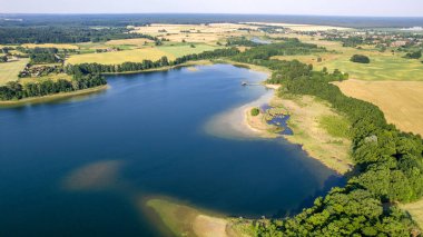 Güneşli bir yaz gününde ormanın havadan görünüşü. İHA 'nın tepesini indir. Polonya, Barlinek şehrinin yakınında.