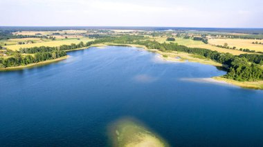 Güneşli bir yaz gününde ormanın havadan görünüşü. İHA 'nın tepesini indir. Polonya, Barlinek şehrinin yakınında.