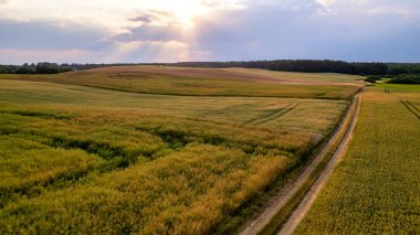 Barlinek nehrinin üzerinde gün batımı