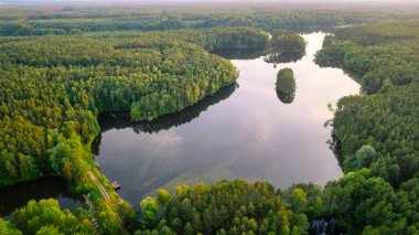 Güneşin doğuşundan sonraki yaz sabahı, sakin panoramik kırsal manzara, yeşil çayırlar üzerinde bir ağaç ve altın ve mavi gökyüzünde renkli bulutlar 