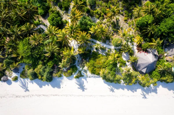 Aerial View Drone Tropical Island Coconut Palm Trees Caribbean Sea —  Fotos de Stock