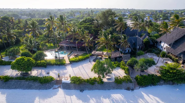 Aerial View Drone Tropical Island Coconut Palm Trees Caribbean Sea — Zdjęcie stockowe