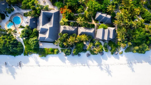 Aerial View Drone Tropical Island Coconut Palm Trees Caribbean Sea — Stockfoto