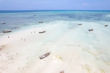 Aerial view of the fishing boats on tropical sea coast with sandy beach at sunset. Summer holiday on Indian Ocean, Zanzibar, Africa. Landscape with boat, buildings, transparent blue water. Top view