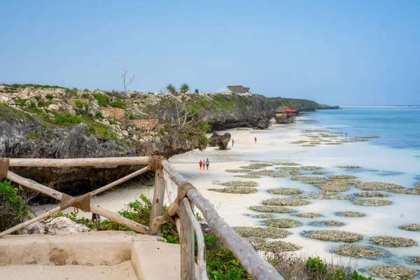 Beach View Zanzibar Tanzania Perfect Beach Crystal Turquoise Sea Zanzibar — Stockfoto