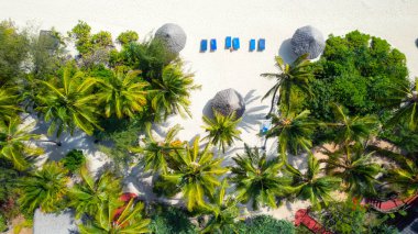 Aerial view of umbrellas, palms on the sandy beach of Indian Ocean at sunny day. Summer holiday in Zanzibar, Africa. Tropical landscape with palm trees, parasols, boats, yachts, blue water. Top view