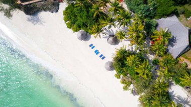 Aerial view of umbrellas, palms on the sandy beach of Indian Ocean at sunny day. Summer holiday in Zanzibar, Africa. Tropical landscape with palm trees, parasols, boats, yachts, blue water. Top view