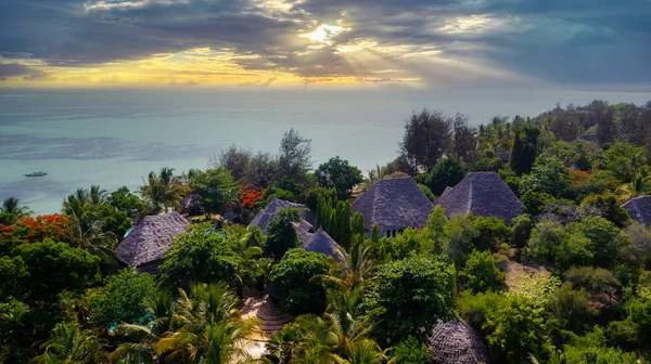 Aerial View Beautiful Beach Tropical Island Zanzibar Blue Water Green — Zdjęcie stockowe