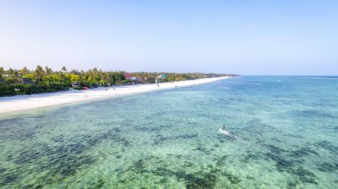 Amazing african beach Kiwengwa with palms and horizon on the background, Zanzibar, Africa