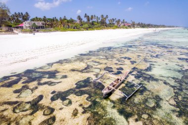 Amazing african beach Kiwengwa with palms and horizon on the background, Zanzibar, Africa