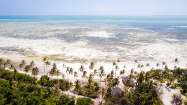 Amazing african beach Kiwengwa with palms and horizon on the background, Zanzibar, Africa