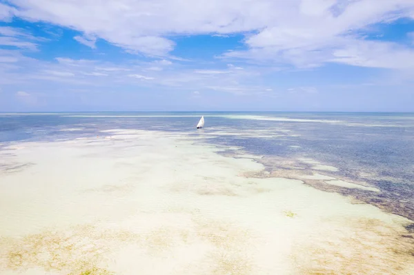 Sansibar Sommerurlaub Strand Mit Palmen Und Blauem Meer Ein Traum — Stockfoto
