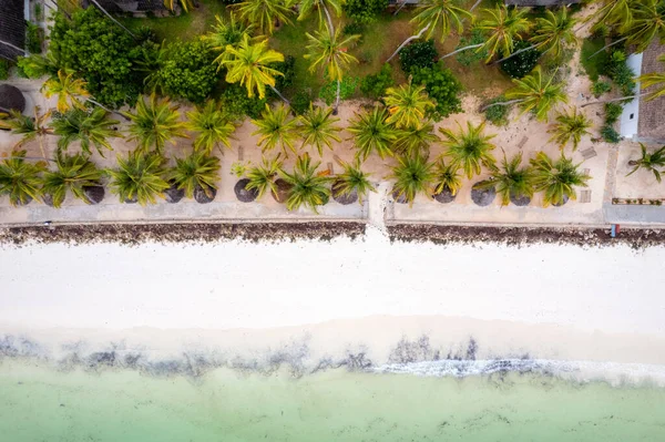 Zanzibar Spectacular Panorama Beaches Overlooking Ocean Landscape Full Palm Trees — Zdjęcie stockowe
