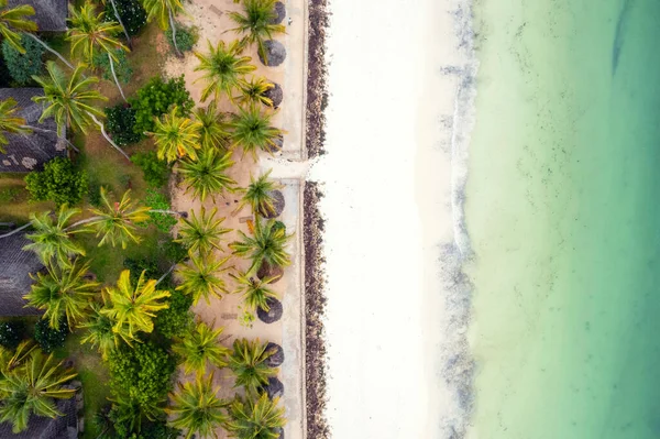 Zanzibar Summer Beach Holidays Palm Trees Blue Ocean Dream Come — Zdjęcie stockowe