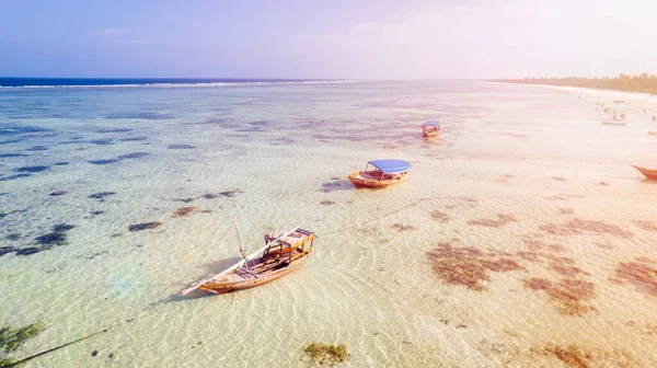 Sansibar Sommerurlaub Strand Mit Palmen Und Blauem Meer Ein Traum — Stockfoto