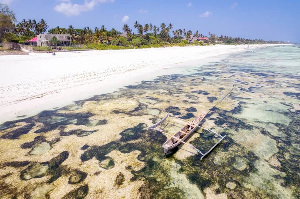 Amazing African Beach Kiwengwa Palms Horizon Background Zanzibar Africa — Stockfoto