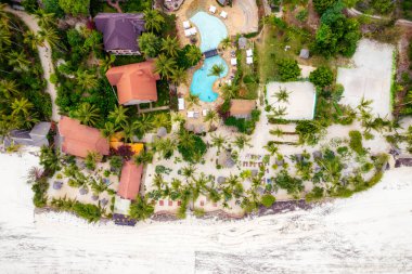 Zanzibar beach with palm trees and plenty of sunshine - a true tropical paradise