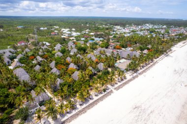 Zanzibar beach with palm trees and plenty of sunshine - a true tropical paradise