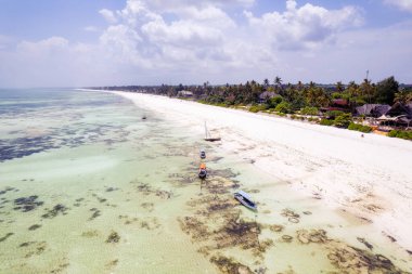 Zanzibar looks like paradise in this drone shot, with a beautiful beach and wooden boats left behind at low tide.