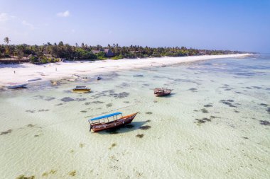 Zanzibar looks like paradise in this drone shot, with a beautiful beach and wooden boats left behind at low tide.
