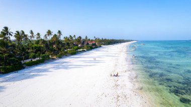 A beautiful beach on the island of Zanzibar, surrounded by palm trees and surrounded by nature. The sun shines strongly and creates a warm and soothing light, perfect for holidays. Summer is in full swing and you can relax and feel like in paradise.