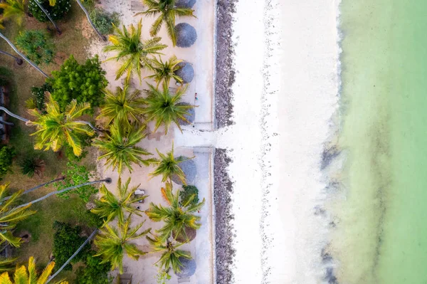 Zanzibar Real Oasis Holidays Beach Looks Paradise Thanks Sunny Days — Fotografia de Stock