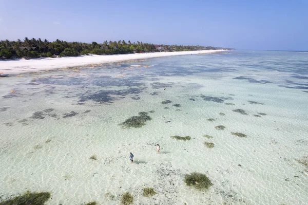 Kitesurfing Zanzibar Unforgettable Experience You Glide Turquoise Waters Soak Sun — Photo