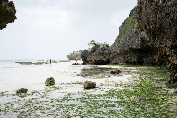 Słoneczne Wakacje Mtende Beach Zanzibar Otoczony Kamieniami Spokojny Wypoczynek — Zdjęcie stockowe