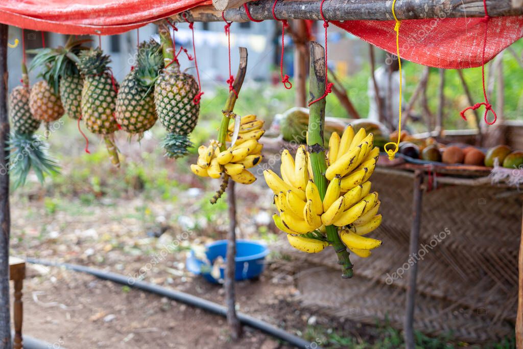 Colorful fruits on display at a bustling Zanzibar fruit stand are a