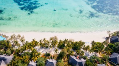 This drone shot of Zanzibar's beach is a tropical paradise with palm trees, white sand, and crystal-clear waters.