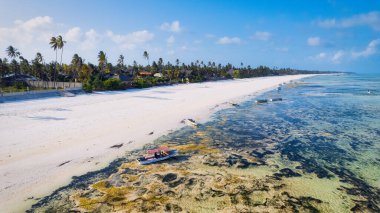 This drone shot of Zanzibar's beach is a tropical paradise with palm trees, white sand, and crystal-clear waters.